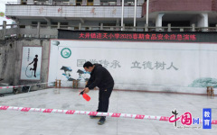 按照分工开展工做